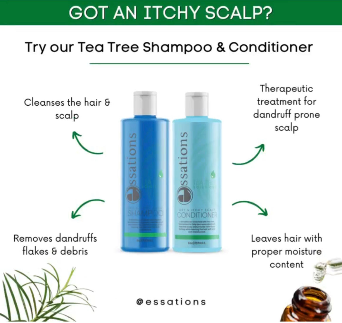 Tea Tree Solutions Dry & Itchy Scalp Shampoo by Essations
