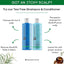 Tea Tree Solutions Dry & Itchy Scalp Shampoo by Essations